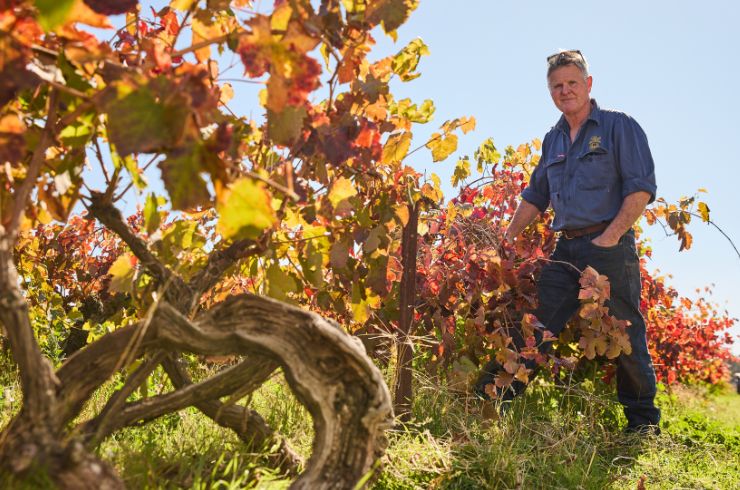 Best's Great Western